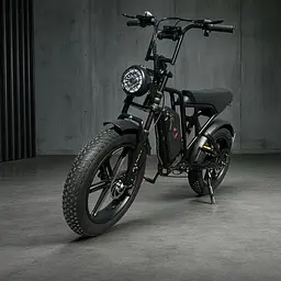 Електровелосипед Volto Vortex 22" фетбайк 1000W 48V 19Ah PAS система чорний - мініатюра 3