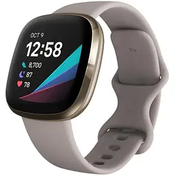 Смарт-часы Fitbit Sense Silver Sage Grey FB512SRSG