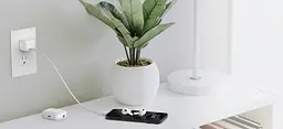 Belkin Зарядний пристрій мережевий 30Вт USB-С PD PPS, кабель USB-С > USB-C, 1 м, PVC, білий - мініатюра 2