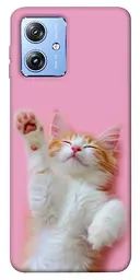 Чохол Demsky Сat chill для Motorola Moto G84