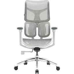 Крісло офісне Sihoo Doro S100 Mesh White (S100-M302)