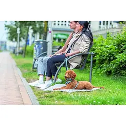 Шлея Trixie CityStyle H-harness для собак бавовна L-XL 75-120 см 25 мм світло-зелений - мініатюра 2