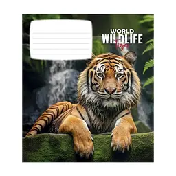 Зошит Школярик Wildlife 12 аркушів клітинка (012-3679K), в асортименті - мініатюра 4