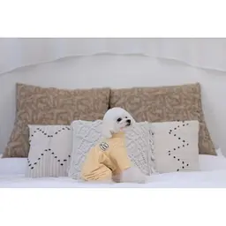 Трикотажний костюм для собак, жовтий L Cheepet zoo0005663 - мініатюра 2