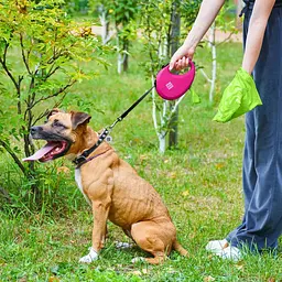 Повідець-рулетка для собак Waudog R-leash з контейнером для пакетів, світловідбивна стрічка, L до 40 кг, 5 м рожевий - мініатюра 12