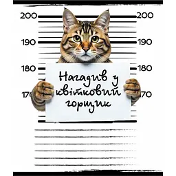 Зошит загальний "Кримінал" Leader 048-590593K-4 у клітинку, 48 аркушів