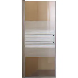 Душові двері BRAVO PROSNA 100TCW.Line (100W.Line)