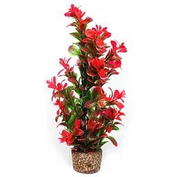 Штучна рослина Hobby Flora Stone 7 25 см (51536)