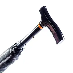 Тростина-парасолька ручної роботи Garcia Umbrella Walking Stick деревина бука код 1463 - мініатюра 2