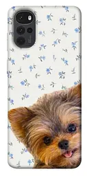 TPU чохол Demsky Cute Yorkie для Motorola Moto G22
