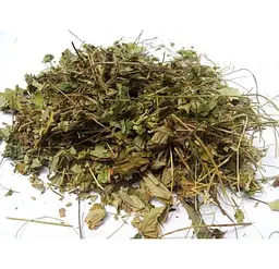 Суниця лісова Листя Fragaria vesca