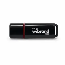 Флеш накопичувач USB 16Gb Wibrand Scarab, Black, USB 3.2 Gen 1 (WI3.2/SC16P11B)