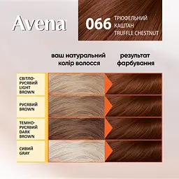Cтійка крем-фарба для волосся Avena Shine Color Трюфельний каштан 066  - мініатюра 4