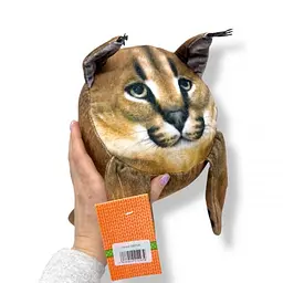 Котя 2 - мініатюра 2