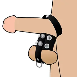 Ерекційне кільце Erospace Wild Play Cock And Ball Strap C20 - мініатюра 6
