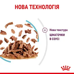 Набір вологого корму для дорослих котів Royal Canin Sensory Feel Gravy шматочки в соусі 1.02 кг (12 шт. х 85 г)  - мініатюра 4