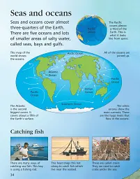 First Encyclopedia of Our World - Фелісіті Брукс - мініатюра 4