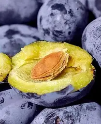 Саджанець Agro-Market Слива Джойо (осінній сорт, пізній термін дозрівання) (39981) 1 шт. в упаковці - мініатюра 3