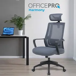 Офісне крісло OfficePro Harmony OC310-B-G-G Black/Gray [175037] - мініатюра 8