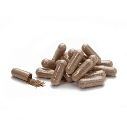 Кордіцепс НСП, 90 капсул | Cordyceps NSP - мініатюра 2