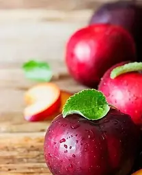 Саджанець Agro-Market Слива Ренклод Альтана (літній сорт, середній термін дозрівання) (15792) 1 шт. в упаковці - мініатюра 2