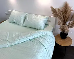 Постільна білизна LARA сатин-страйп LUX light green d13179е євро - мініатюра 2