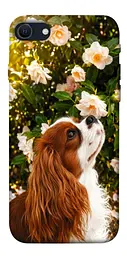 TPU чохол Demsky Flower spaniel для Apple iPhone SE (2020)
