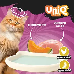 Кремовий вологий корм для кішок UNIQ PETS CAT WET FOOD DELIGHT SHAKE з куркою та медовою динею, 60 г - мініатюра 5