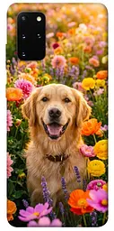 TPU чохол Demsky Flowery labrador для Samsung Galaxy S20+