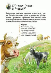 Енциклопедія дошкільника (нова) Видавництво Ранок Тварини - мініатюра 5