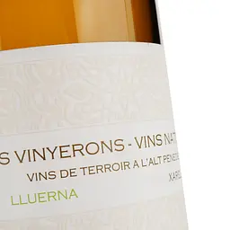Вино Els Vinyerons Lluerna біле сухе 0.75 л - мініатюра 3