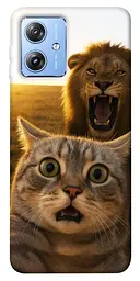 Чохол Demsky Shocked cat and lion для Motorola Moto G84