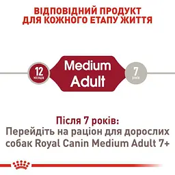 Сухий корм для дорослих собак середніх порід Royal Canin Medium Adult, 1 кг (3004100) - мініатюра 7