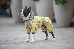 Комбінезон для собак Waudog Clothes, Рік та Морті 3, S32 - мініатюра 2