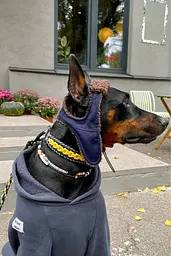 Шапка-вушанка для собак Hat-Dog Какао (L) - мініатюра 6