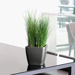 Вазон Lechuza Quadro Premium LS, 4 л, білий (16120) - мініатюра 6