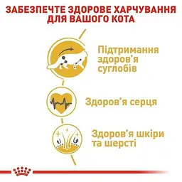 Сухий корм для дорослих котів мейн-кун Royal Canin Maine Coon Adult, з м'ясом птиці, 2 кг - мініатюра 2
