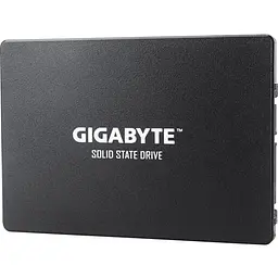 SSD накопичувач Gigabyte 1TB (GP-GSTFS31100TNTD) [142678]