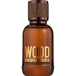 Туалетна вода для чоловіків Dsquared2 Wood Pour Homme 100 мл - мініатюра 2