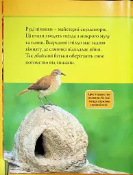 Тварини-будівники - мініатюра 5