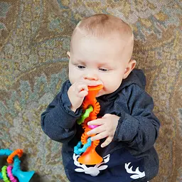Прорізувач-брязкальце на присосках Fat Brain Toys pipSquigz Loops помаранчевий (F165ML) - мініатюра 6