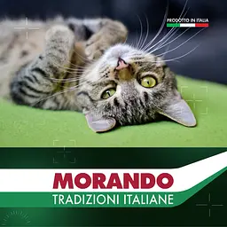 Сухий корм для котів Morando Tradizioni з яловичиною та свининою 9 шт. х 1.5 кг (13.5 кг) - мініатюра 6
