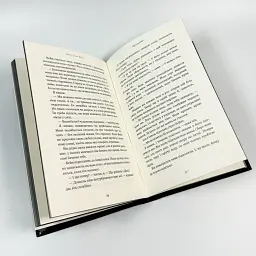 Розпусні загублені хлопці: Принци фейрі - Ніккі Сент-Кроу | BookChef, книга українською, нова, тверда - мініатюра 4