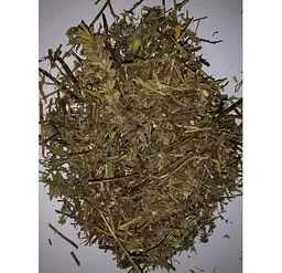 Гісоп Трава Hyssopus officinalis