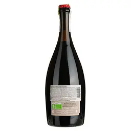 Вино ігристе Puianello Ancestrale Lambrusco dell'Emilia IGP Organic червоне сухе 0.75 л - мініатюра 2