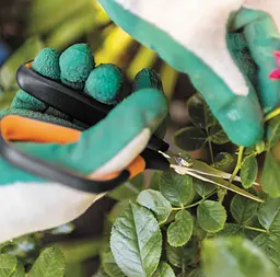 Ножиці для рослин і квітів Fiskars Solid ™ Softgrip SP15 1051602 - мініатюра 6