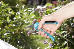 Секатор Gardena PremiumCut fresh wood обвідний 22 мм - мініатюра 3
