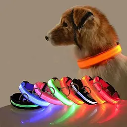 Нашийник для собак Led 3 M, що світиться, на батарейках блакитний 40-48 см - мініатюра 2