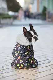 Комбінезон для собак Waudog Clothes, Рік та Морті 2, L50 - мініатюра 4