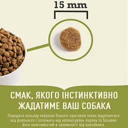 Сухий корм для цуценят великих порід Acana Puppy Large Breed с курицей 11.4 кг a50111 - мініатюра 2